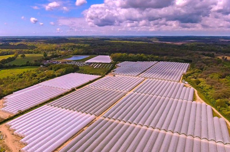 The New Forest Fruit Company from the air